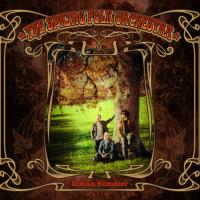 Виниловая пластинка SPRING FOLK ORCHESTRA / INDIAN SUMMER (1LP)